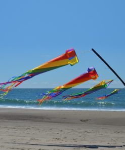 48" RAINBOW SPINSOCK