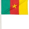 Cameroon 12x18" Stick Flag