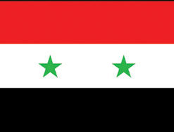 Syria 3x5' Poly Flag