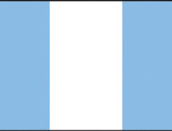 Guatemala 2x3' Poly Flag