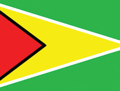 Guyana 2x3' Poly Flag