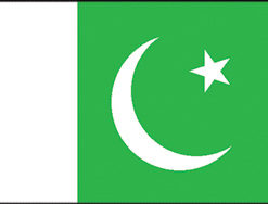 Pakistan 2x3' Poly Flag