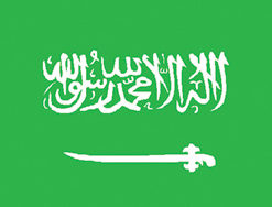 Saudi Arabia 12"x18" Stick Flag