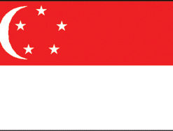 Singapore 12"x18" Stick Flag