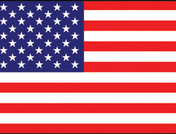 United States 2x3' Poly Flag