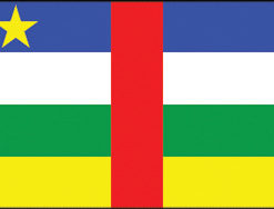 Central Africa 2x3' Poly Flag
