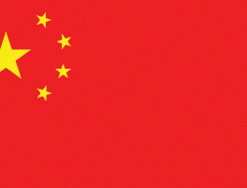 China 2x3' Poly Flag