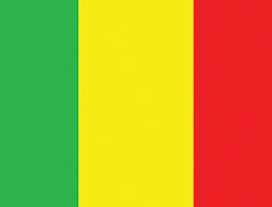 Mali 2x3' Poly Flag