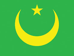 Mauritania 2x3' Poly Flag