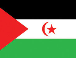 Sahara 12"x18" Stick Flag