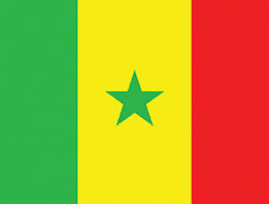 Senegal 12"x18" Stick Flag