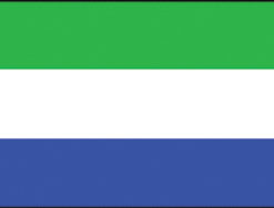 Sierra Leone 12"x18" Stick Flag