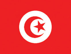 Tunisia 2x3' Poly Flag
