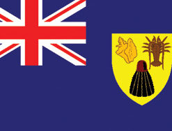 Turks & Caicos 2x3' Poly Flag