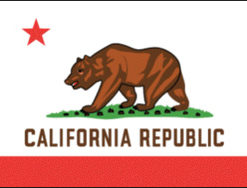 2'x3' California Polyester Flag