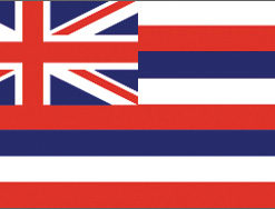 2'x3' Hawaii Polyester Flag