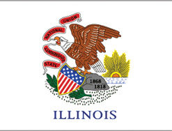 2'x3' Illinois Polyester Flag