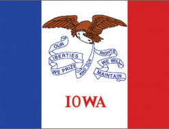 2'x3' Iowa Polyester Flag
