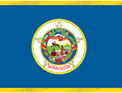 2'x3' Minnesota Polyester Flag