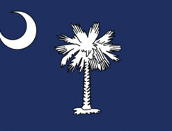 2'x3' South Carolina Polyester Flag