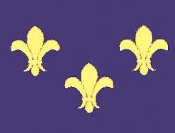French Fluer 12X18 Handheld Stick Flags