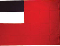 Georgia Rep 2x3' Poly Flag