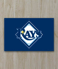 2'x3' RAYS Fan Banner