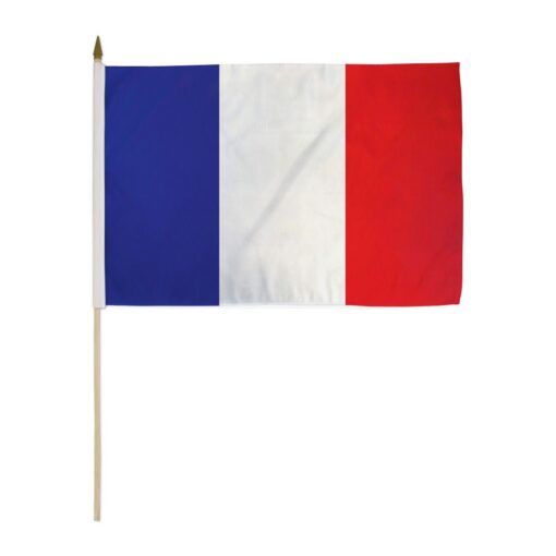 France 12x18in Stick Flag