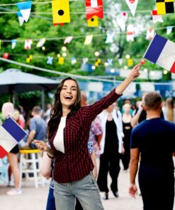 France 12x18in Stick Flag