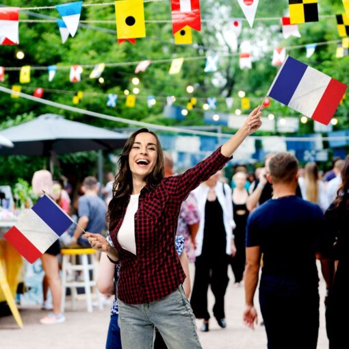 France 12x18in Stick Flag