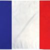 France 2'x3' Poly Flag