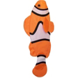 Clown Fish