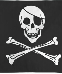 Jolly Roger Nylon Flag