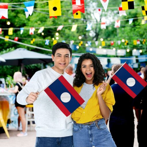 Laos 12x18in Stick Flag