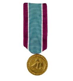 Distinguished Service Mini Medal