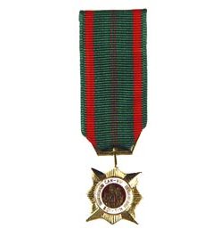 Civil Actions 1st Class Mini Medal