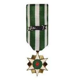Vietnam Campaign Mini Medal