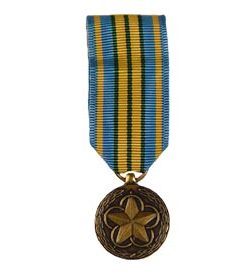 Outstanding Volunteer Service Mini Medal