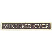 Silver Small Wintered Over Clasp