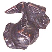 Fleet Marine Force