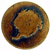 Bronze Antartica Service