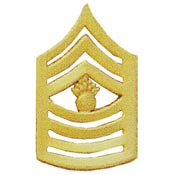 Master SGT E9 (gold)