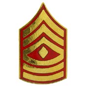 1st SGT E8