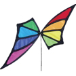 Rainbow Butterfly