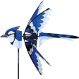 Eastern Blue Jay 25"
