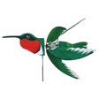 Ruby Hummingbird