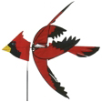 North American Cardinal