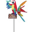 37" Island Parrot
