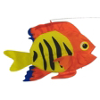 Swimming Flame Fish