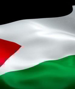 Palestine 2'x3' Poly Flag